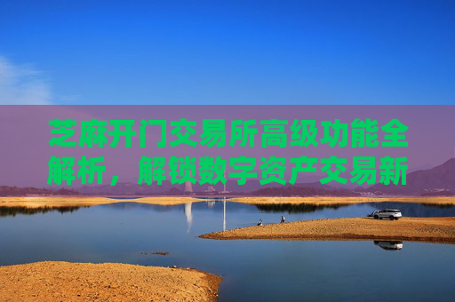 芝麻开门交易所高级功能全解析，解锁数字资产交易新境界 芝麻开门交易所高级功能