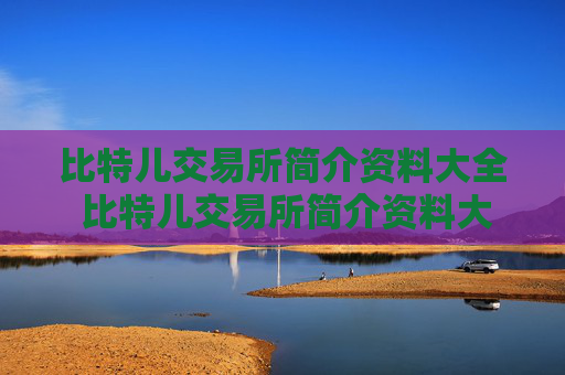 比特儿交易所简介资料大全 比特儿交易所简介资料大全