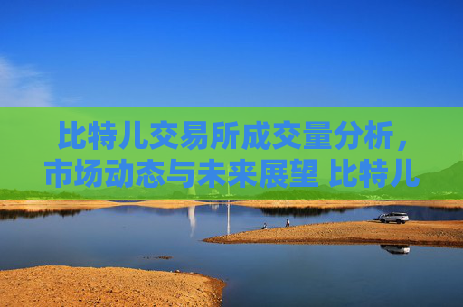 比特儿交易所成交量分析，市场动态与未来展望 比特儿交易所成交量
