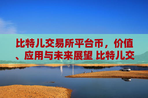 比特儿交易所平台币，价值、应用与未来展望 比特儿交易所平台币