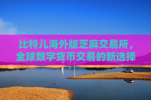 比特儿海外版芝麻交易所，全球数字货币交易的新选择 比特儿海外版芝麻交易所