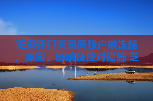 芝麻开门交易所账户被冻结，原因、影响及应对措施 芝麻开门交易所账户被冻结
