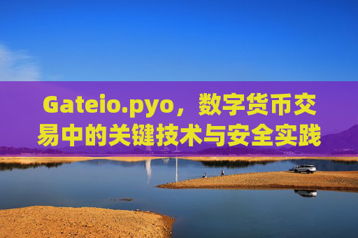 Gateio.pyo，数字货币交易中的关键技术与安全实践 gateio.pyo
