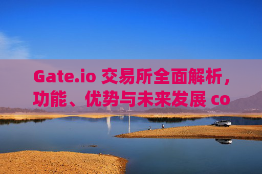 Gate.io 交易所全面解析，功能、优势与未来发展 com.gateio.gateio
