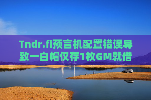 Tndr.fi预言机配置错误导致一白帽仅存1枚GM就借入159万美元资产