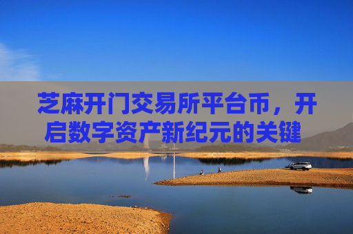 芝麻开门交易所平台币，开启数字资产新纪元的关键 芝麻开门交易所平台币