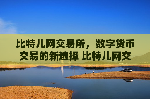 比特儿网交易所，数字货币交易的新选择 比特儿网交易所
