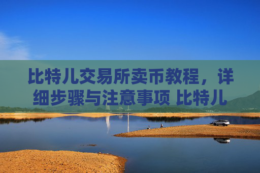 比特儿交易所卖币教程，详细步骤与注意事项 比特儿交易所怎么卖币