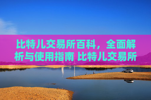 比特儿交易所百科，全面解析与使用指南 比特儿交易所百科