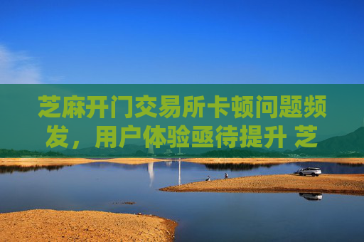 芝麻开门交易所卡顿问题频发，用户体验亟待提升 芝麻开门交易所很卡