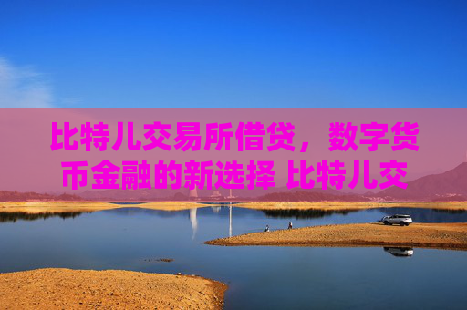 比特儿交易所借贷，数字货币金融的新选择 比特儿交易所借贷