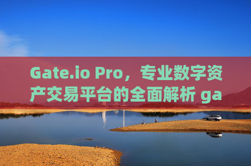 Gate.io Pro，专业数字资产交易平台的全面解析 gateio pro