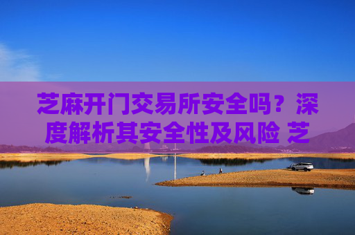 芝麻开门交易所安全吗？深度解析其安全性及风险 芝麻开门交易所安全么