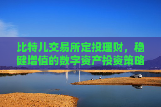 比特儿交易所定投理财，稳健增值的数字资产投资策略 比特儿交易所定投理财