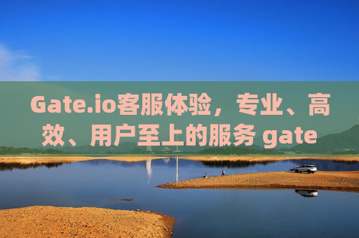 Gate.io客服体验，专业、高效、用户至上的服务 gateio客服