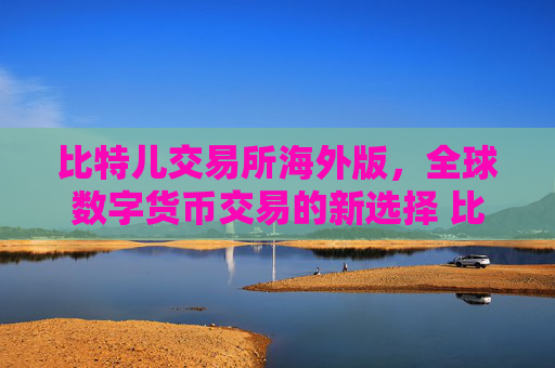 比特儿交易所海外版，全球数字货币交易的新选择 比特儿交易所海外版