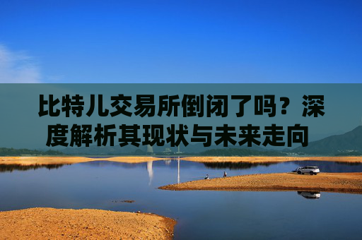 比特儿交易所倒闭了吗？深度解析其现状与未来走向 比特儿交易所倒闭了吗