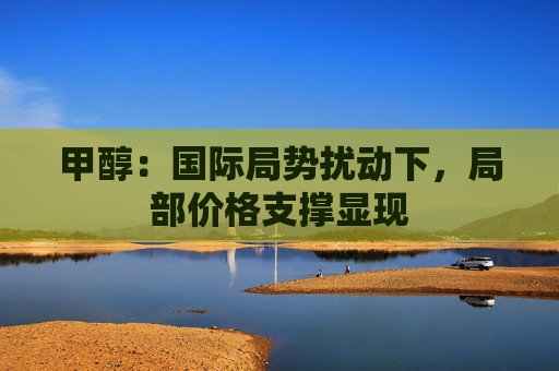 甲醇：国际局势扰动下，局部价格支撑显现