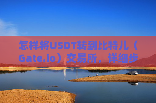 怎样将USDT转到比特儿（Gate.io）交易所，详细步骤指南 怎样转usdt到比特儿交易所
