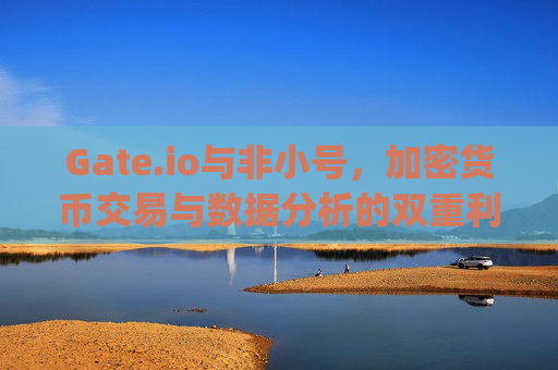 Gate.io与非小号，加密货币交易与数据分析的双重利器 gateio非小号