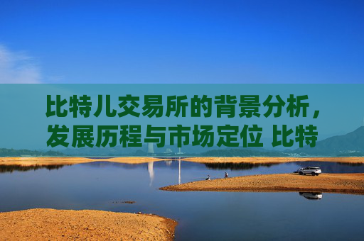 比特儿交易所的背景分析，发展历程与市场定位 比特儿交易所的背景分析