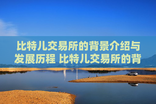 比特儿交易所的背景介绍与发展历程 比特儿交易所的背景介绍