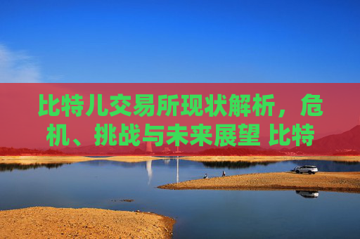 比特儿交易所现状解析，危机、挑战与未来展望 比特儿交易所现在怎么了