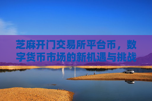芝麻开门交易所平台币，数字货币市场的新机遇与挑战 芝麻开门交易所平台帀