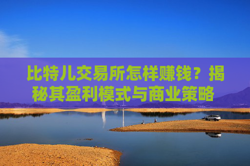 比特儿交易所怎样赚钱？揭秘其盈利模式与商业策略 比特儿交易所怎样赚钱