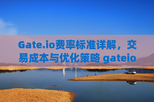 Gate.io费率标准详解，交易成本与优化策略 gateio费率标准