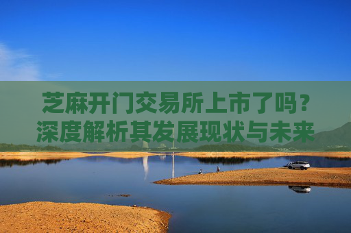 芝麻开门交易所上市了吗？深度解析其发展现状与未来前景 芝麻开门交易所上市了吗