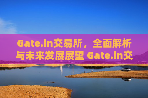 Gate.in交易所，全面解析与未来发展展望 Gate.in交易所