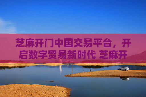 芝麻开门中国交易平台，开启数字贸易新时代 芝麻开门中国交易平台