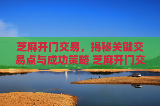 芝麻开门交易，揭秘关键交易点与成功策略 芝麻开门交易几个点