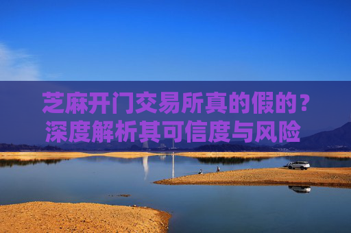 芝麻开门交易所真的假的？深度解析其可信度与风险 芝麻开门交易所真的假的