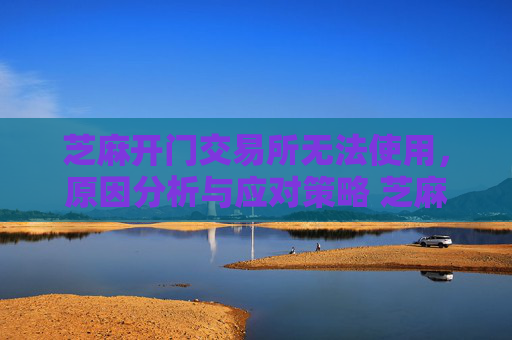 芝麻开门交易所无法使用，原因分析与应对策略 芝麻开门交易所用不了