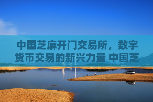 中国芝麻开门交易所，数字货币交易的新兴力量 中国芝麻开门交易所