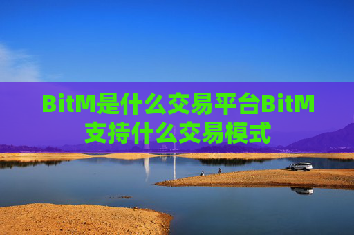 BitM是什么交易平台BitM支持什么交易模式