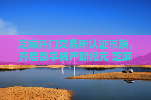 芝麻开门交易所认证币族，开启数字资产新纪元 芝麻开门交易所认证币族