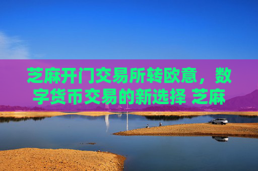 芝麻开门交易所转欧意，数字货币交易的新选择 芝麻开门交易所转欧意