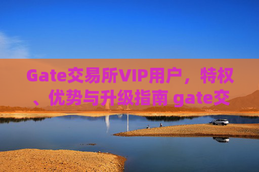 Gate交易所VIP用户，特权、优势与升级指南 gate交易所vip用户是
