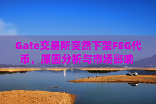 Gate交易所突然下架FEG代币，原因分析与市场影响 gate交易所突然下架feg