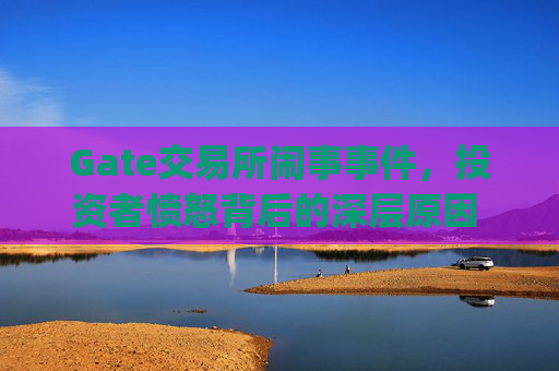 Gate交易所闹事事件，投资者愤怒背后的深层原因 gate交易所闹事