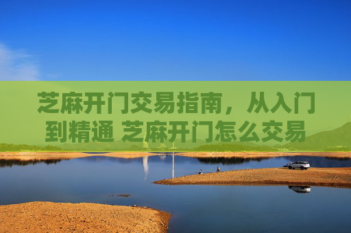 芝麻开门交易指南，从入门到精通 芝麻开门怎么交易