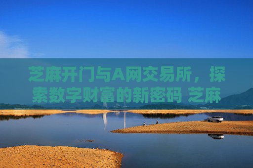 芝麻开门与A网交易所，探索数字财富的新密码 芝麻开门和a网交易所