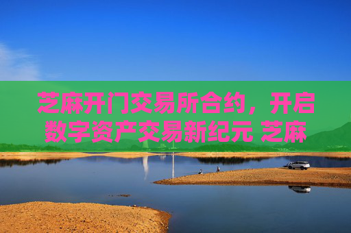 芝麻开门交易所合约，开启数字资产交易新纪元 芝麻开门交易所合约