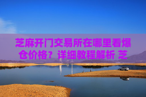 芝麻开门交易所在哪里看爆仓价格？详细教程解析 芝麻开门交易所在哪里看爆仓价格