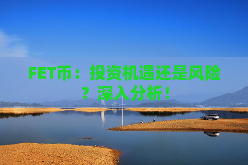 FET币：投资机遇还是风险？深入分析！