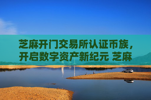 芝麻开门交易所认证币族，开启数字资产新纪元 芝麻开门交易所认证币族