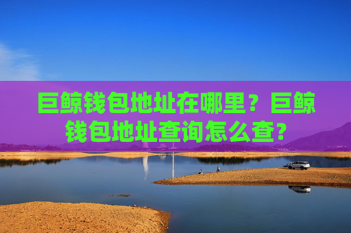 巨鲸钱包地址在哪里？巨鲸钱包地址查询怎么查？